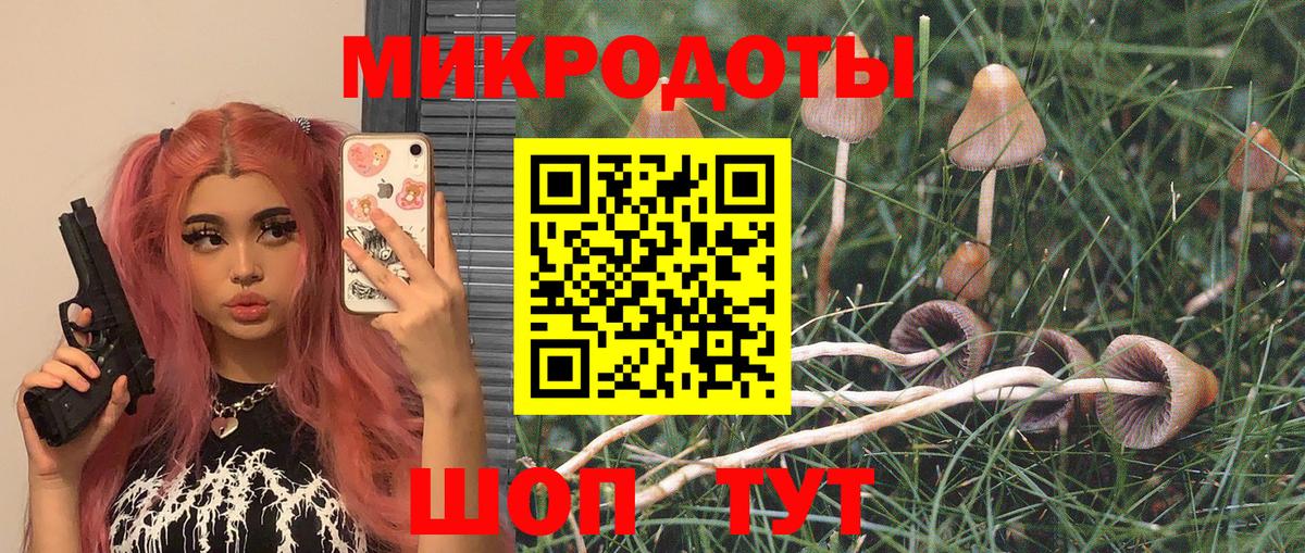 Галлюциногенные грибы GOLDEN TEACHER Кулебаки