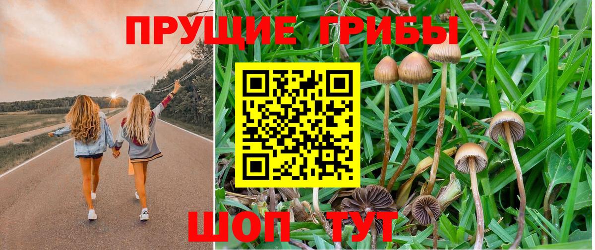 Кулебаки  Галлюциногенные грибы мицелий  Вход с VPN 